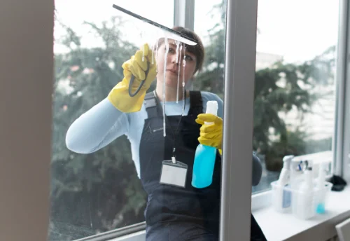 Nettoyage de vitres intérieures et extérieures à Saint-Roman
